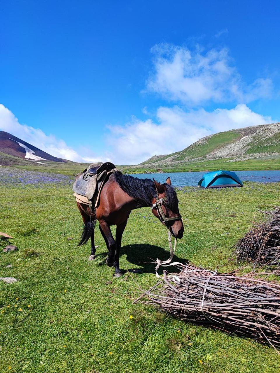Highland Hostel Jerevan Buitenkant foto